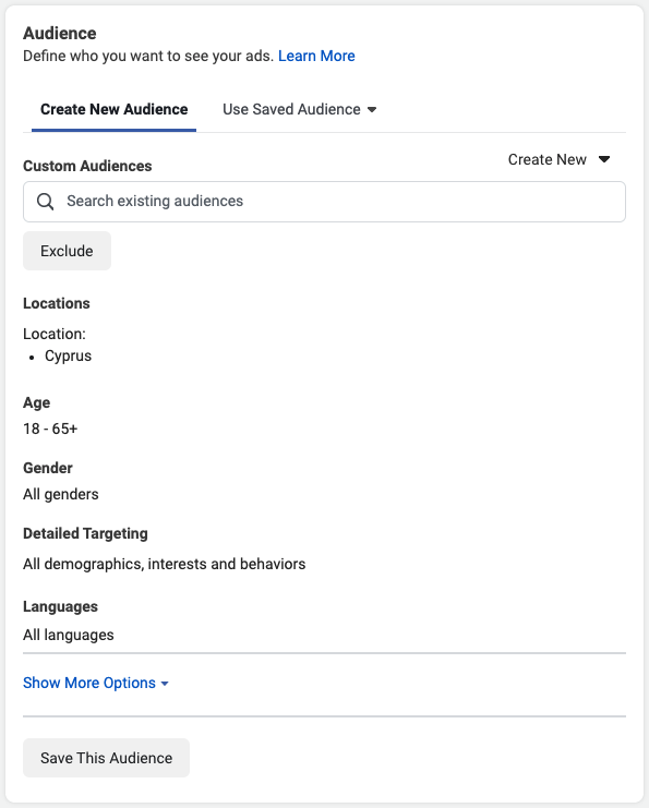 facebook ads create new audience